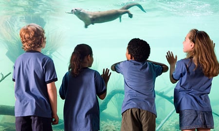 Four Ways to Simplify, Fund, and Foster Fantastic Field Trips