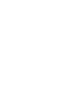 rt-icon-shield