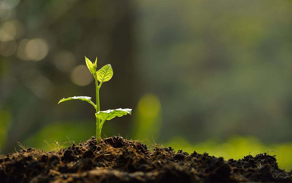 outreachmagazine.comwp-contentuploads20220922_0921_SMALLCHURCH_How-to-grow-a-small-church_1021x640